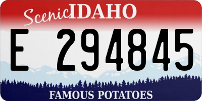 ID license plate E294845