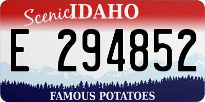 ID license plate E294852