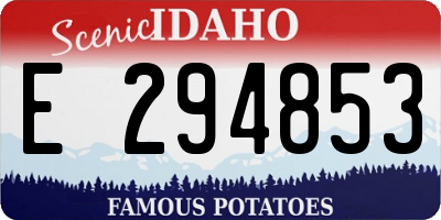 ID license plate E294853