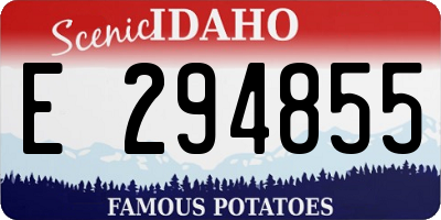 ID license plate E294855
