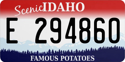 ID license plate E294860
