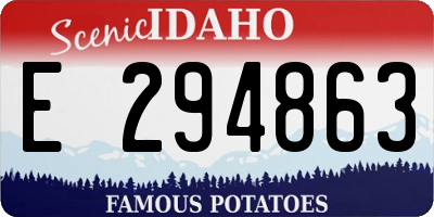 ID license plate E294863