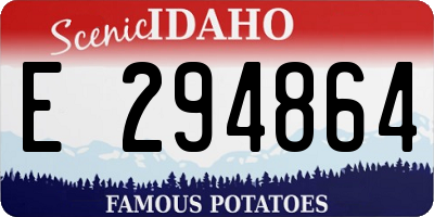 ID license plate E294864
