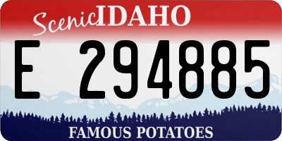 ID license plate E294885