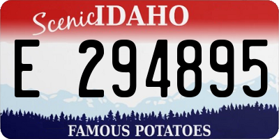 ID license plate E294895