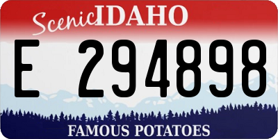 ID license plate E294898