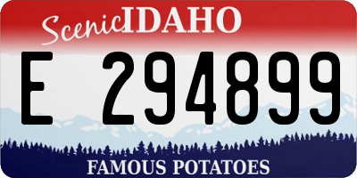 ID license plate E294899