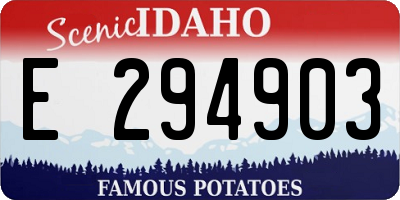 ID license plate E294903
