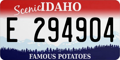 ID license plate E294904