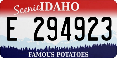 ID license plate E294923