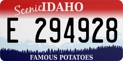 ID license plate E294928