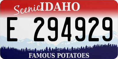 ID license plate E294929
