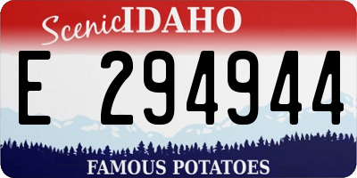ID license plate E294944