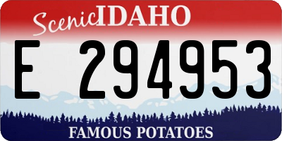 ID license plate E294953