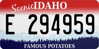 ID license plate E294959