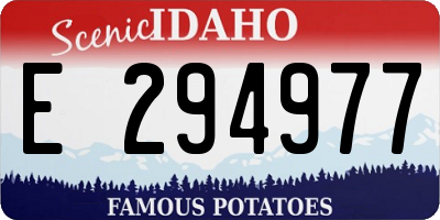 ID license plate E294977