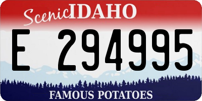 ID license plate E294995