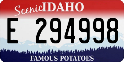 ID license plate E294998