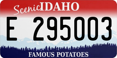 ID license plate E295003