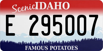 ID license plate E295007