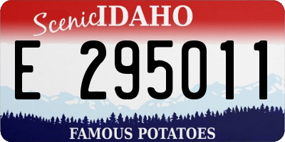 ID license plate E295011