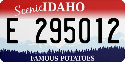 ID license plate E295012