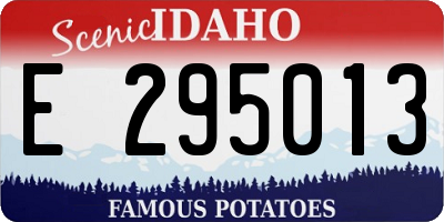 ID license plate E295013