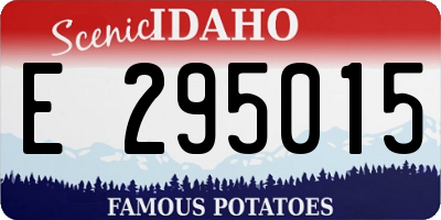 ID license plate E295015