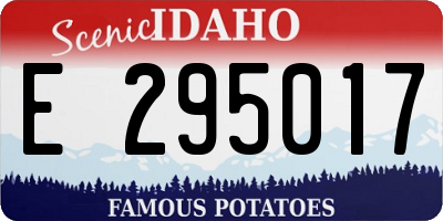 ID license plate E295017