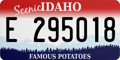 ID license plate E295018