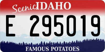ID license plate E295019