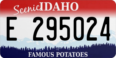 ID license plate E295024