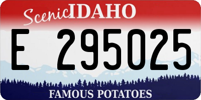 ID license plate E295025