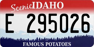 ID license plate E295026