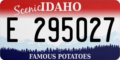 ID license plate E295027