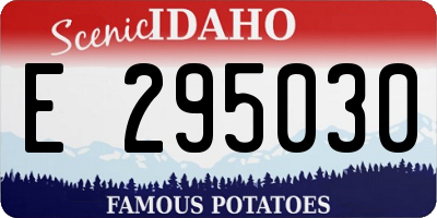 ID license plate E295030
