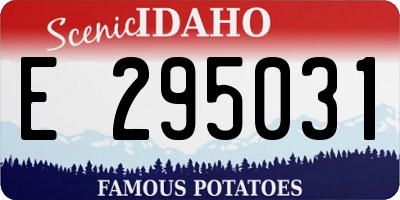 ID license plate E295031