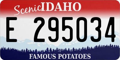 ID license plate E295034