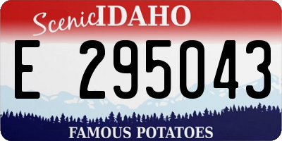 ID license plate E295043