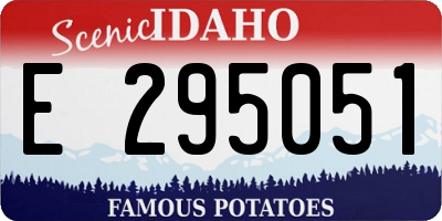 ID license plate E295051