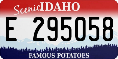 ID license plate E295058