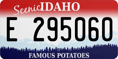 ID license plate E295060