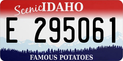 ID license plate E295061