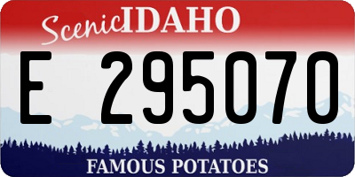 ID license plate E295070