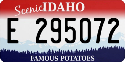 ID license plate E295072