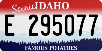 ID license plate E295077