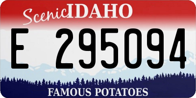 ID license plate E295094