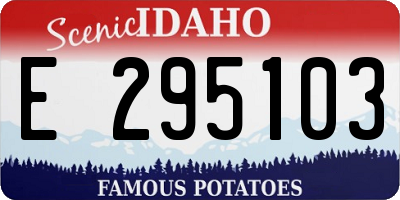 ID license plate E295103