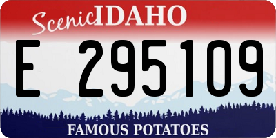 ID license plate E295109