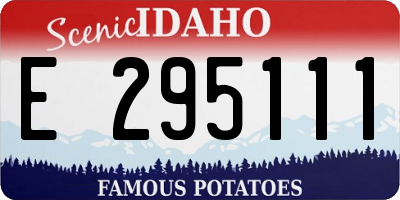 ID license plate E295111